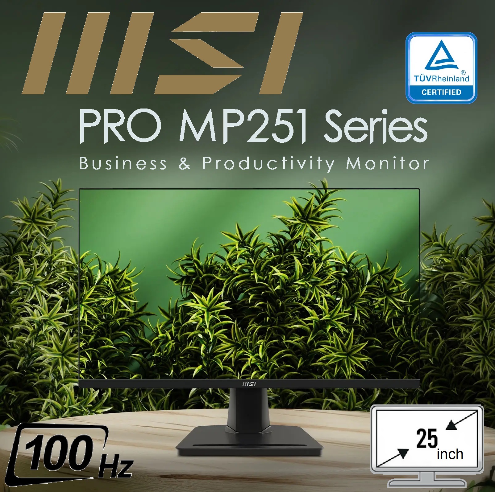 9S6-3PC2CM-002 MP251 Professional 25 inch FHD 100Hz Monitor MSI PRO MP251 Professional 24.5" FHD Monitor - IPS Panel